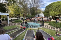 The family plots