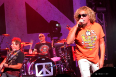 Chickenfoot