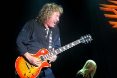 Only dogs hear THIS note