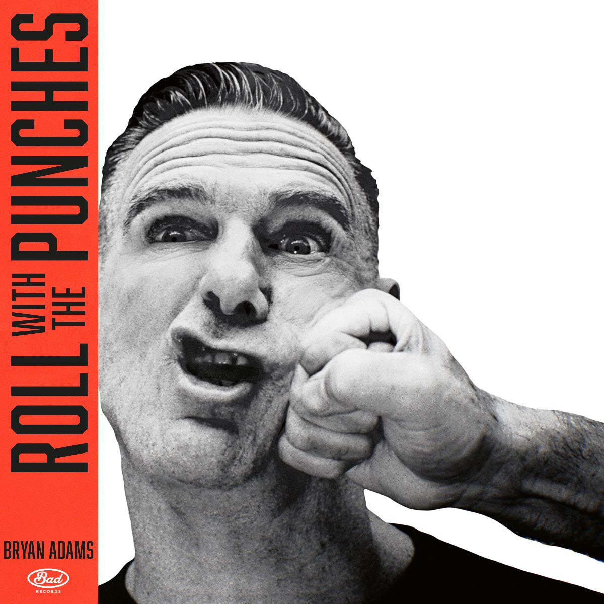 Roll With The Punches album cover
